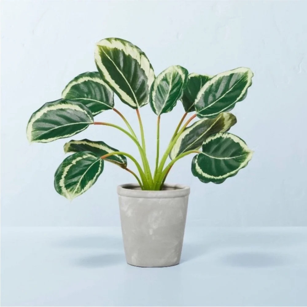 Hearth & Hand with Magnolia Faux Calathea Ceramic Potted Plant